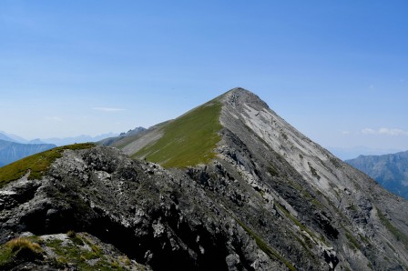 faures_j2_labarre_6-1.jpg, août 2020