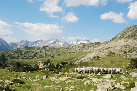 5_vallee_B.jpg, nov. 2018 5_vallee_B.jpg