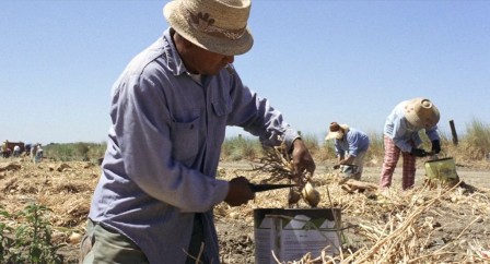 img2.jpg, 2026/02/04