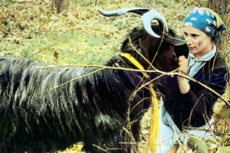 bouc.jpg, janv. 2019 bouc.jpg