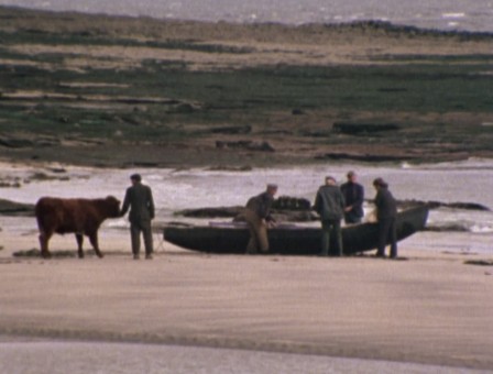 barque.jpg, juin 2020