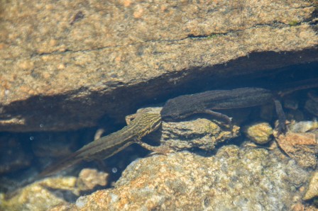 img12-1.jpg, 2025/09/17