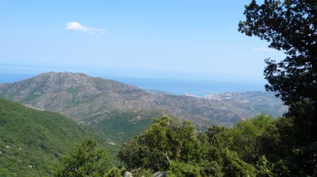 6_banyuls.jpg, déc. 2012 6_banyuls.jpg