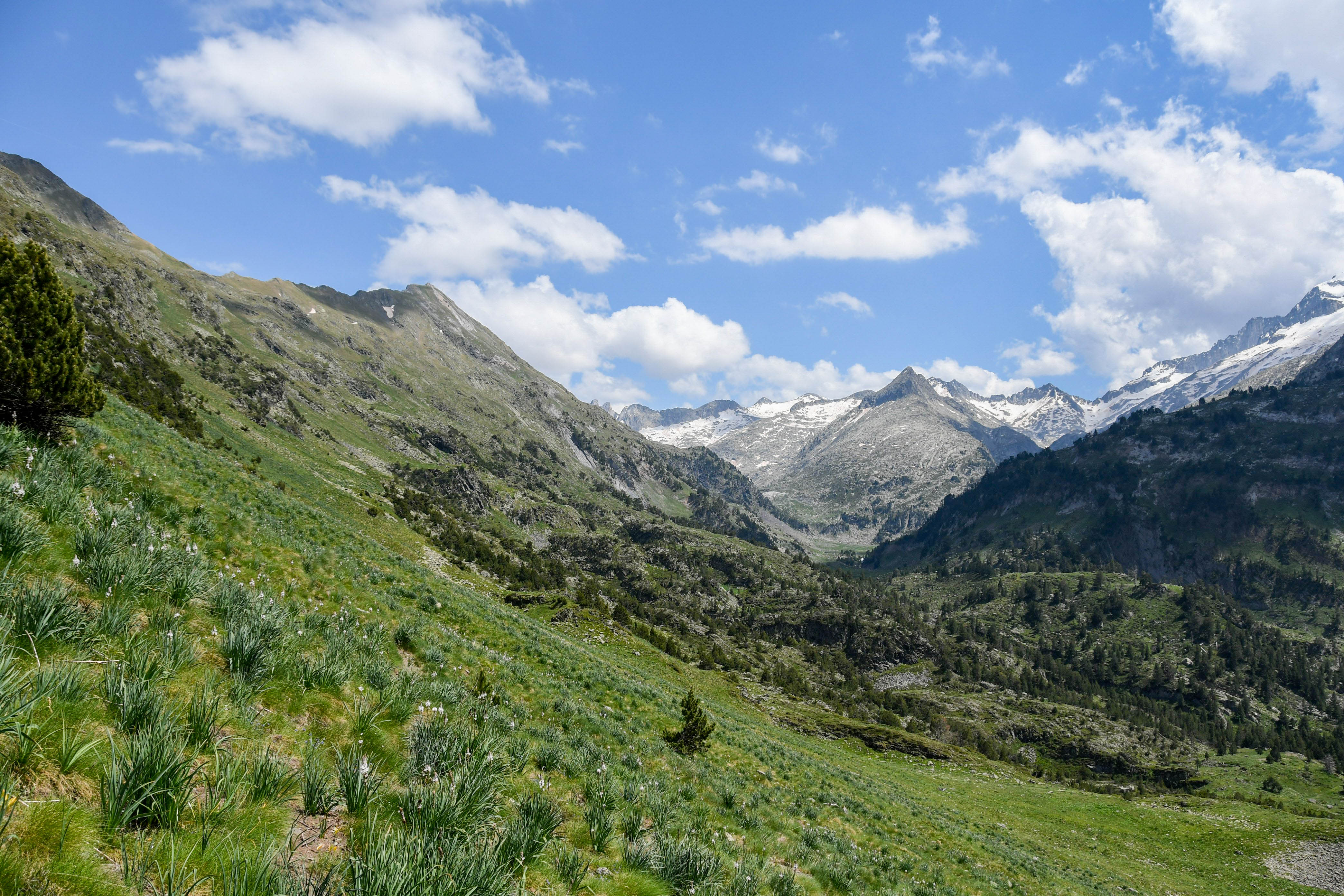 luchon_jour2_11-1.jpg, juil. 2021