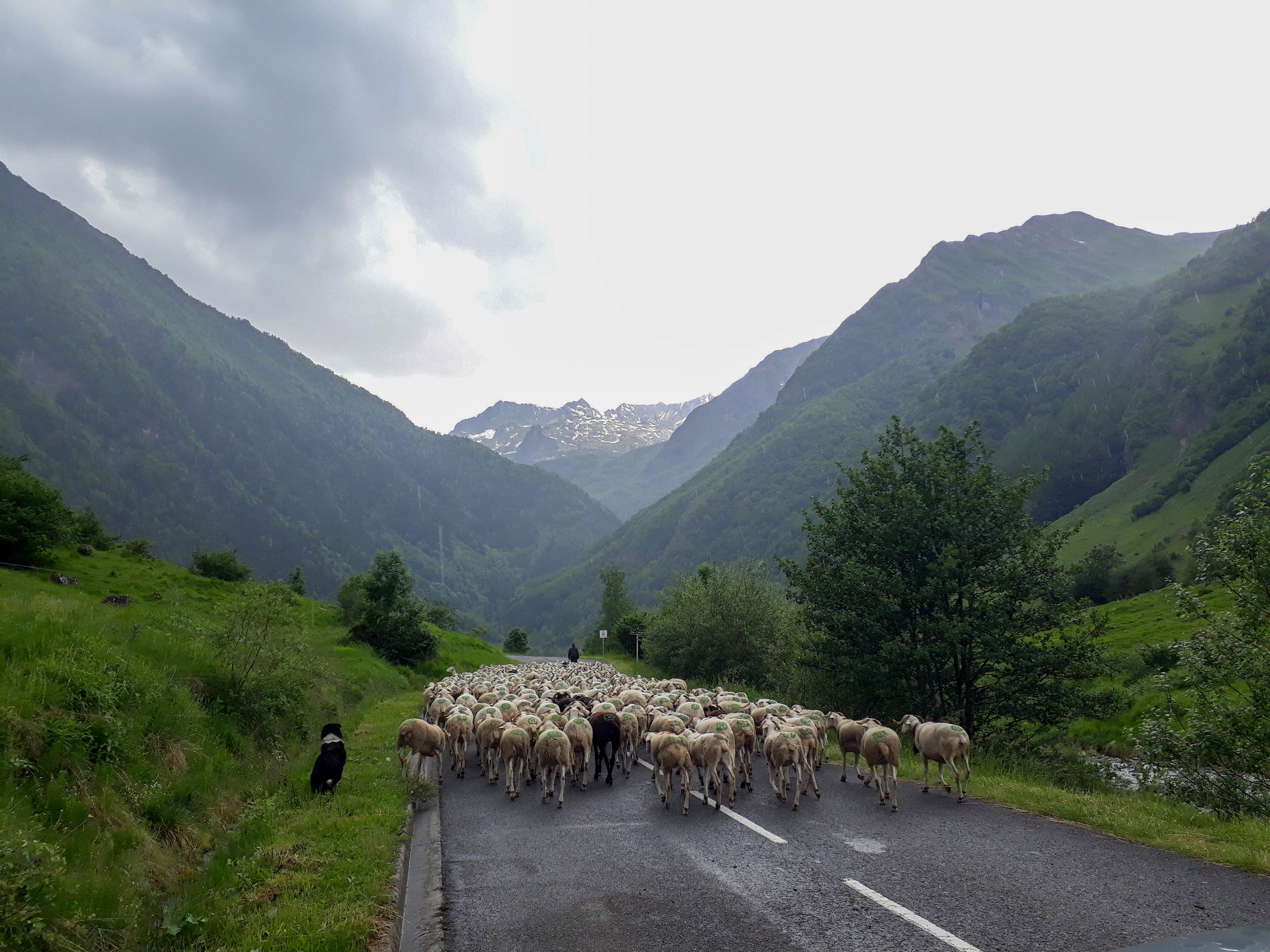 luchon_jour3_12-1.jpg, juil. 2021