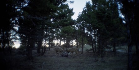 img7.jpg, 2025/01/13