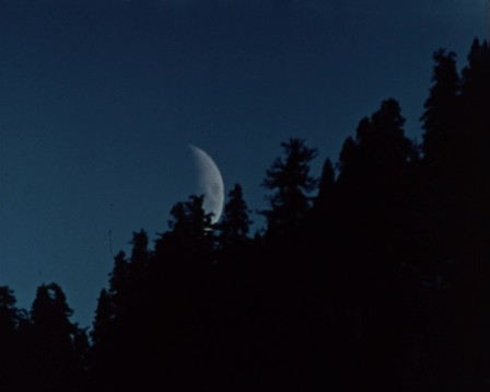 img5.jpg, 2024/12/03