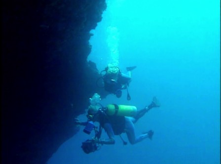 img1.jpg, 2024/11/29