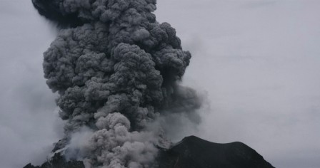 img5.jpg, 2025/02/12