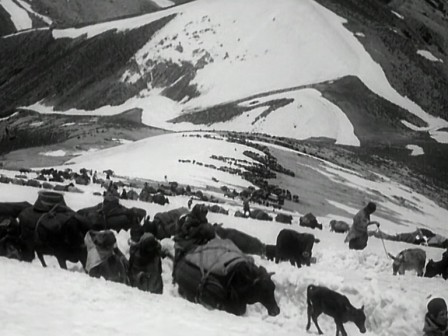 img2.jpg, 2025/02/24