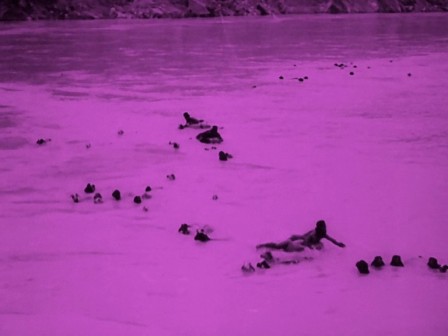 img7.jpg, 2025/02/24