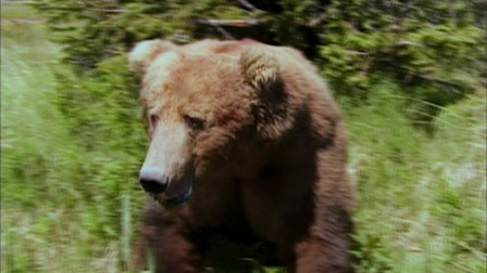 img1.jpg, 2025/04/28