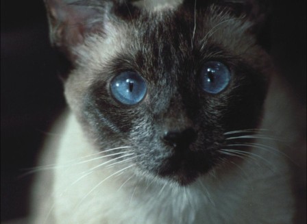 img2.jpg, 2025/09/01