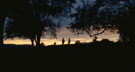 img6.jpg, 2025/05/22