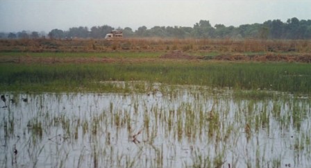 img1.jpg, 2025/12/01