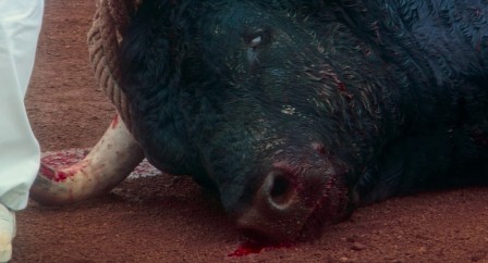 img7.jpg, 2025/11/03