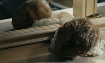 img2.jpg, 2026/01/19