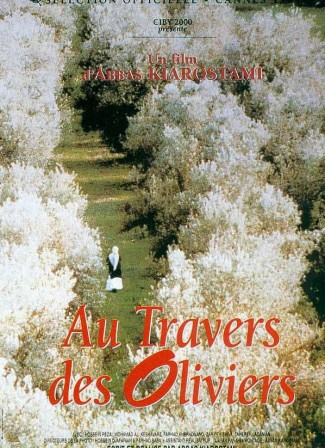 au_travers_des_oliviers.jpg, août 2020