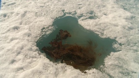 img3.jpg, août 2023