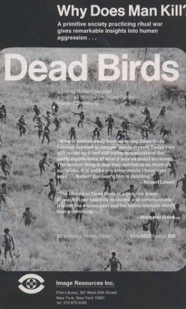 dead_birds.jpg, août 2020