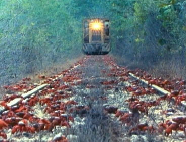 train.JPEG