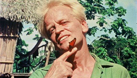 papillon.jpg, sept. 2018 papillon.jpg