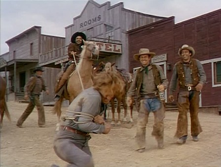 lasso.jpg