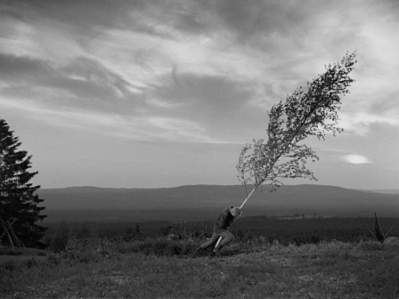 arbre.png, juil. 2015 arbre.png