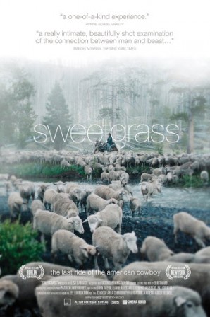 sweetgrass.jpg, nov. 2020