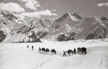 caravane_sur_l-Inyltchek.jpg, 2025/04/20