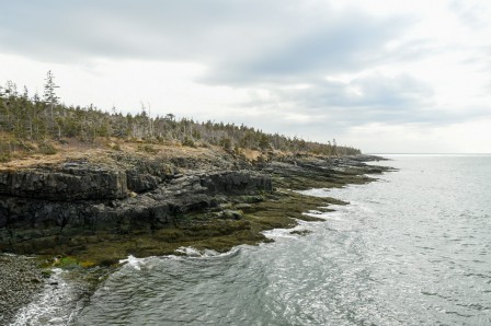 halifax_15-1.jpg, 2025/02/06