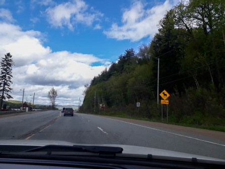 route2-1.jpg, août 2019 route2-1.jpg