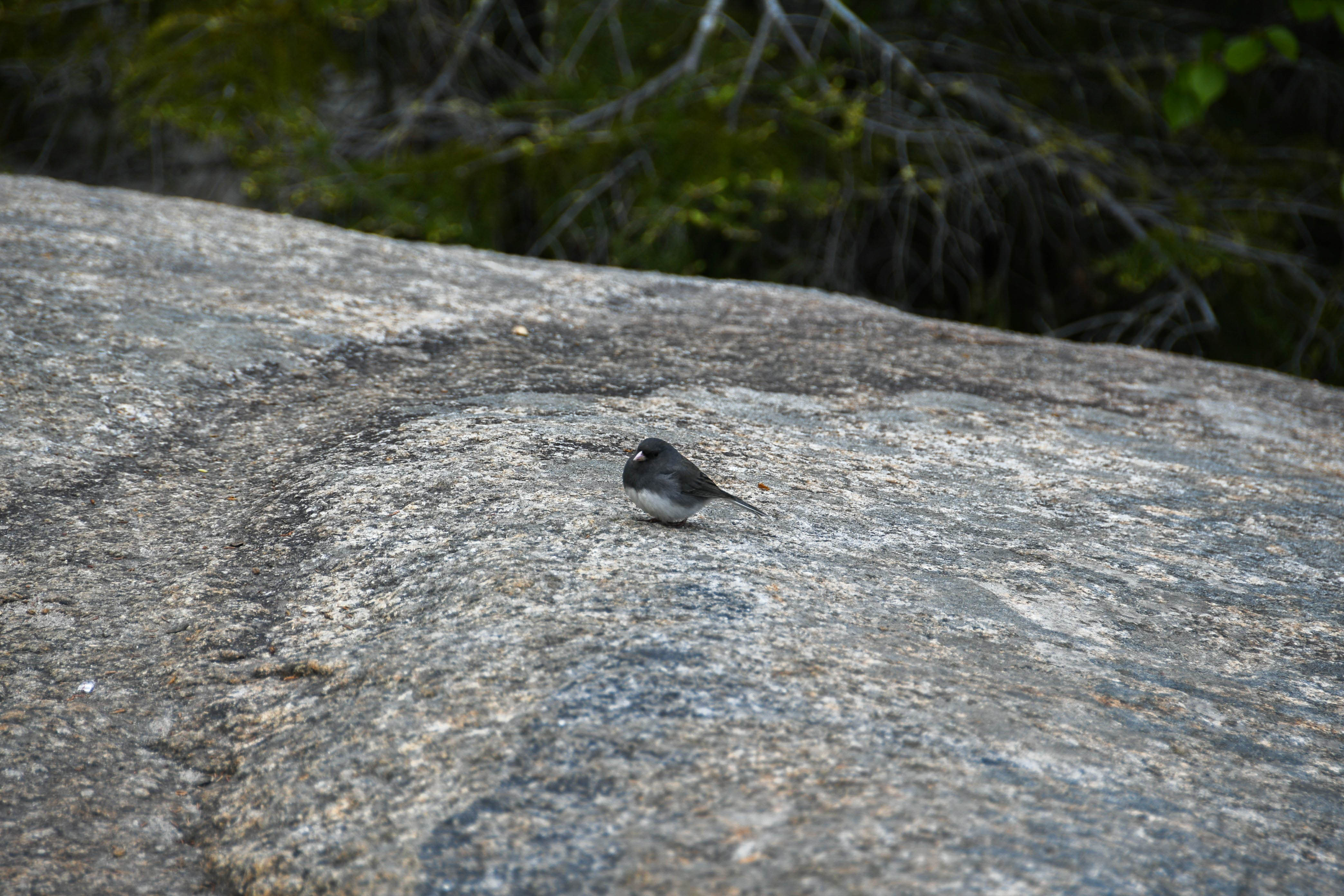 fjords1-1.jpg, août 2019 fjords1-1.jpg