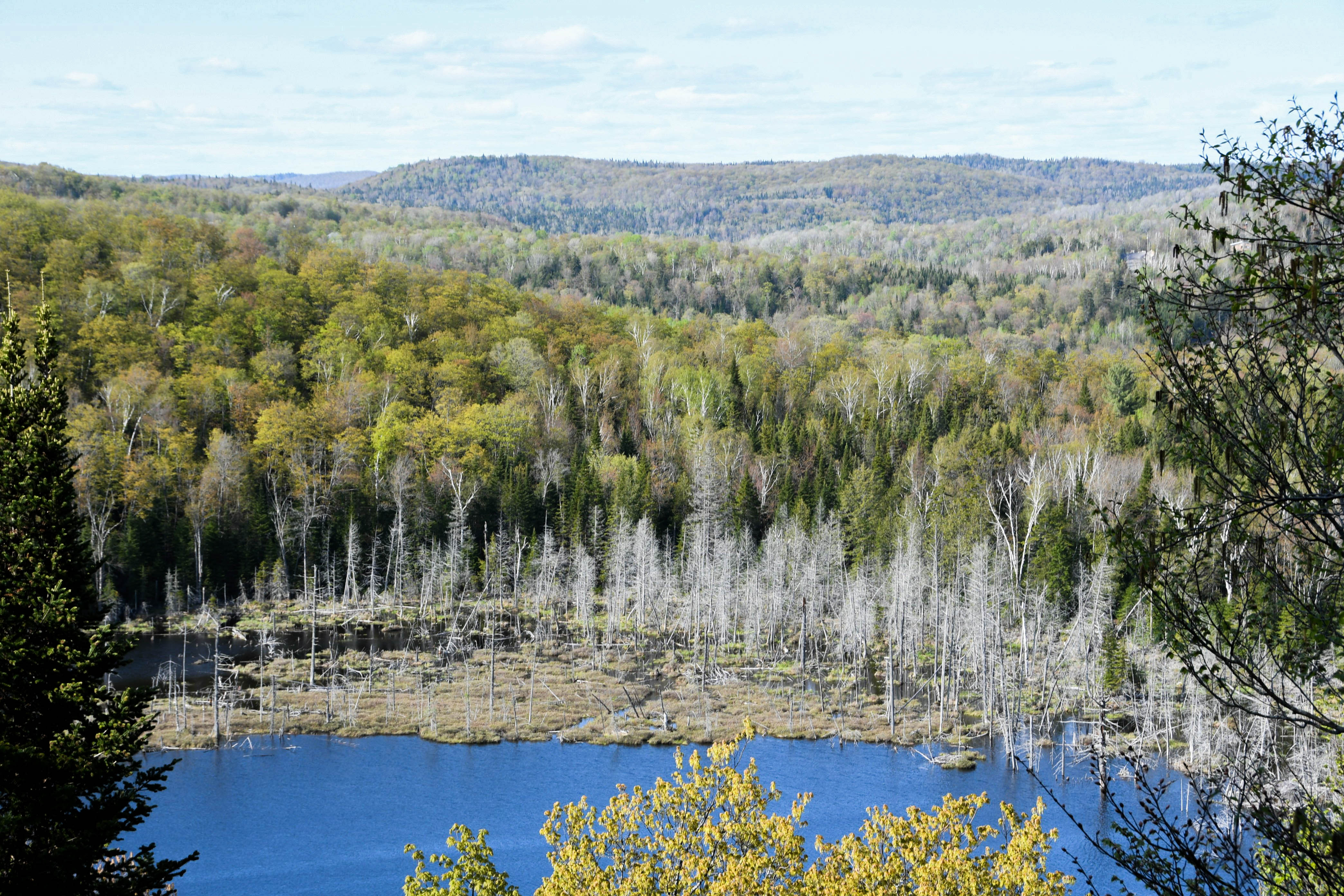 tremblant2-1.jpg, août 2019 tremblant2-1.jpg