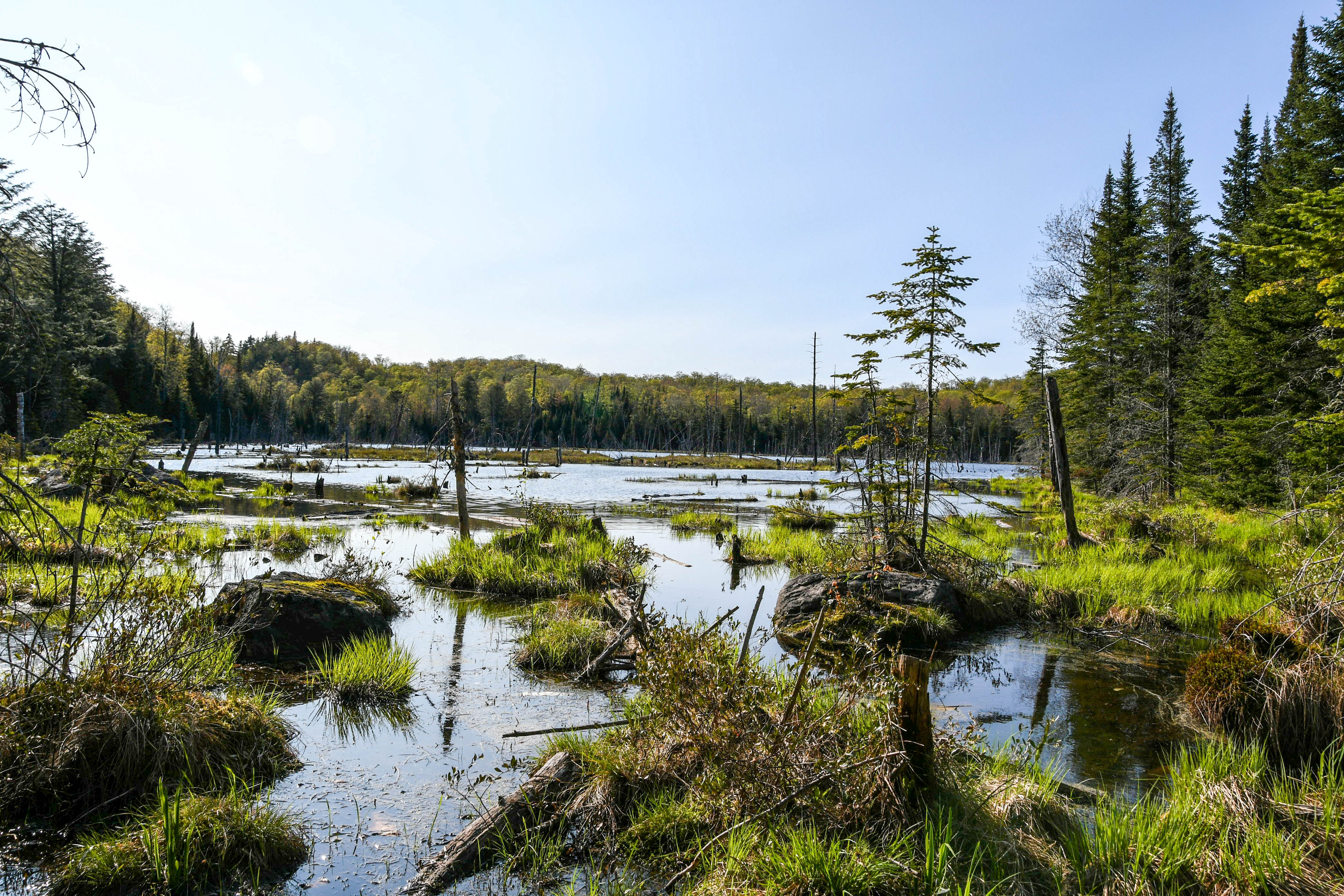 tremblant3-1.jpg, août 2019 tremblant3-1.jpg